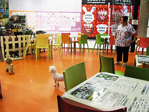 香港寵物餐廳人畜共餐
