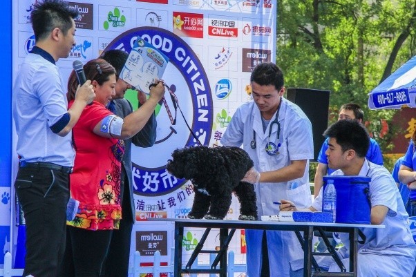 文明養(yǎng)犬四六級測試，免費(fèi)教授寵物行為學(xué)